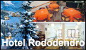 Hotel Rododendro